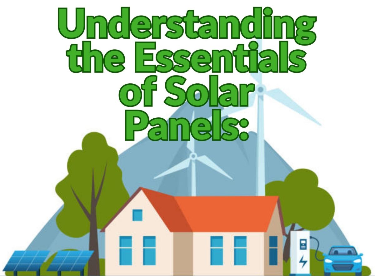 Understanding the Essentials of Solar Panels: